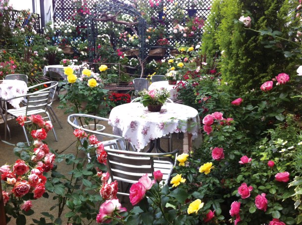 Beauty paradise "FANCL GINZA SQUARE" renewal open!10F_テラスガーデン