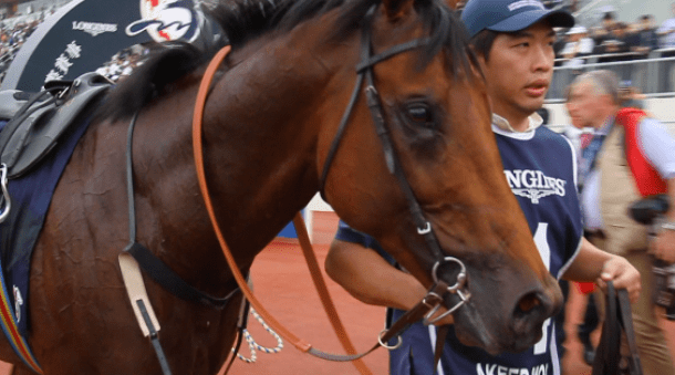 LONGINES Hong Kong international races 2013