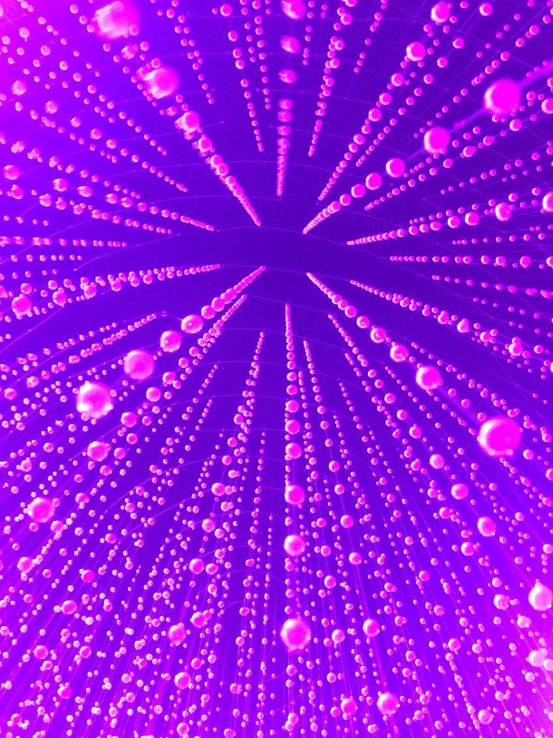 TASAKI 60th Pearl & Diamond Jubilee ELEMENTS