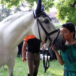 Elegance press conference at&nbsp;Shanghai