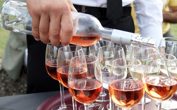 Buzet Oniric vendange 2014 oct 1