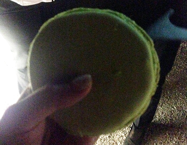 Buzet Oniric vendange 2014 oct15