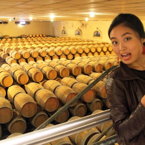 Ban Des Vendanges for&nbsp;Buzet