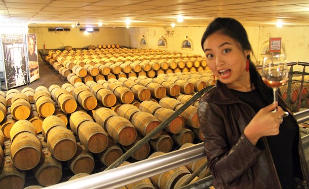 Buzet Oniric vendange 2014 oct2