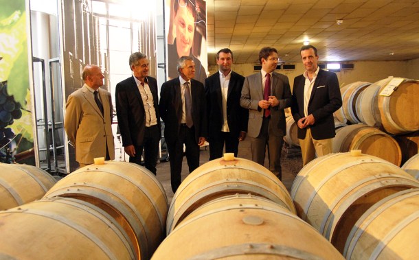 Buzet Oniric vendange 2014 oct3