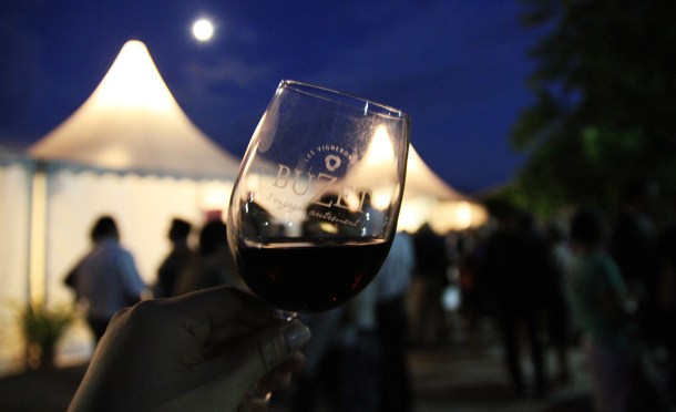 Buzet Oniric vendange 2014 oct4