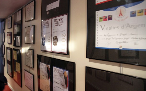 Buzet Oniric vendange 2014 oct9