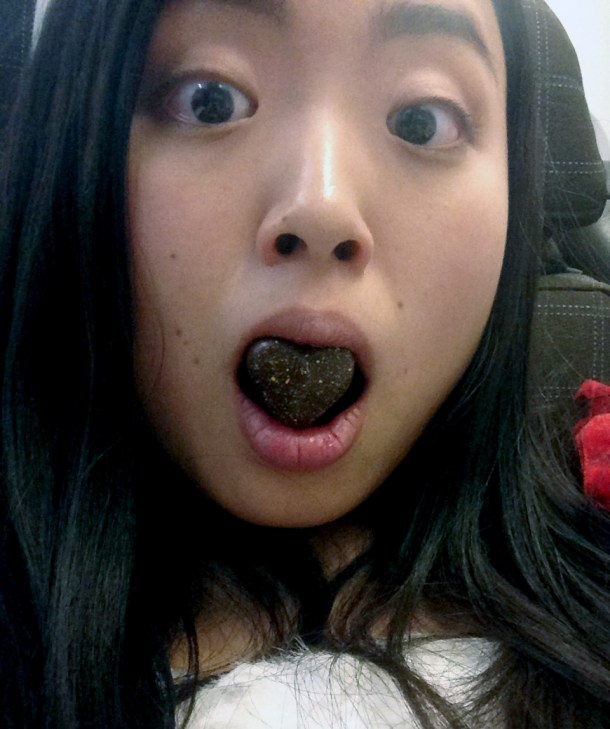 SWISS-christmas-flight2014-8