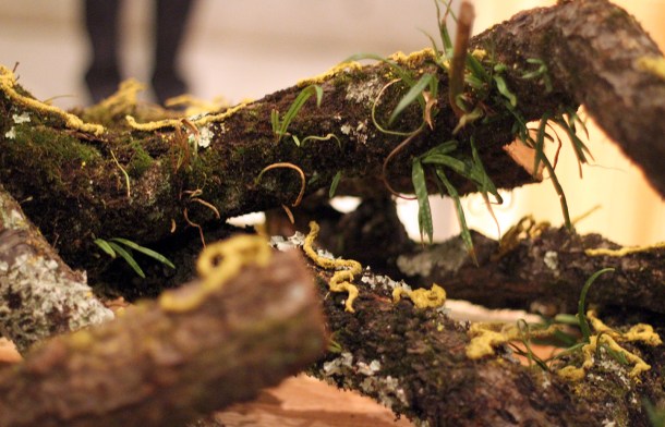 DANISH ART & CULTURE WEEK by Nicolai Bergmann1