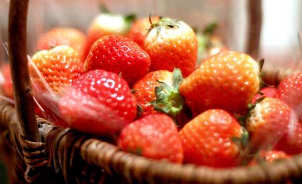 strawberry art buffet hilton tokyo14