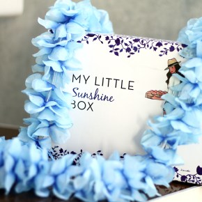 Sunny day with My Little&nbsp;Box
