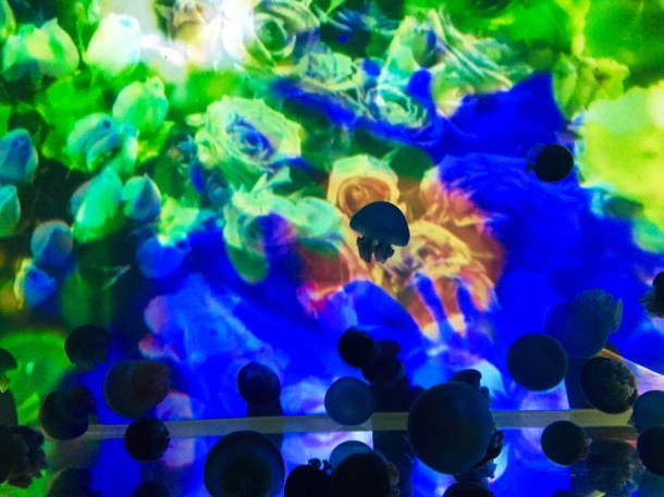 Mika Ninagawa x SUMIDA Aquarium Jellyfish kaleidoscope tunnel1