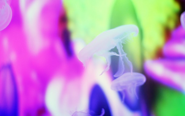 Mika Ninagawa x SUMIDA Aquarium Jellyfish kaleidoscope tunnel10