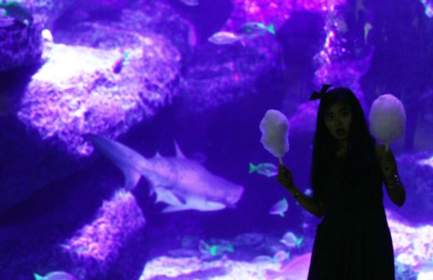 Mika Ninagawa x SUMIDA Aquarium Jellyfish kaleidoscope tunnel13