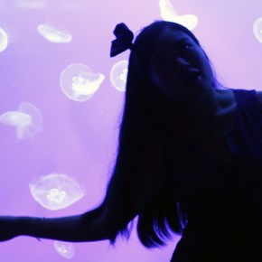 Welcome to Fantasy Jellyfish world by Mika&nbsp;Ninagawa