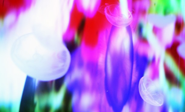 Mika Ninagawa x SUMIDA Aquarium Jellyfish kaleidoscope tunnel8